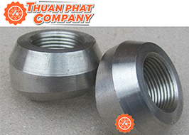 Phụ Kiện Áp Lực Threaded Olets